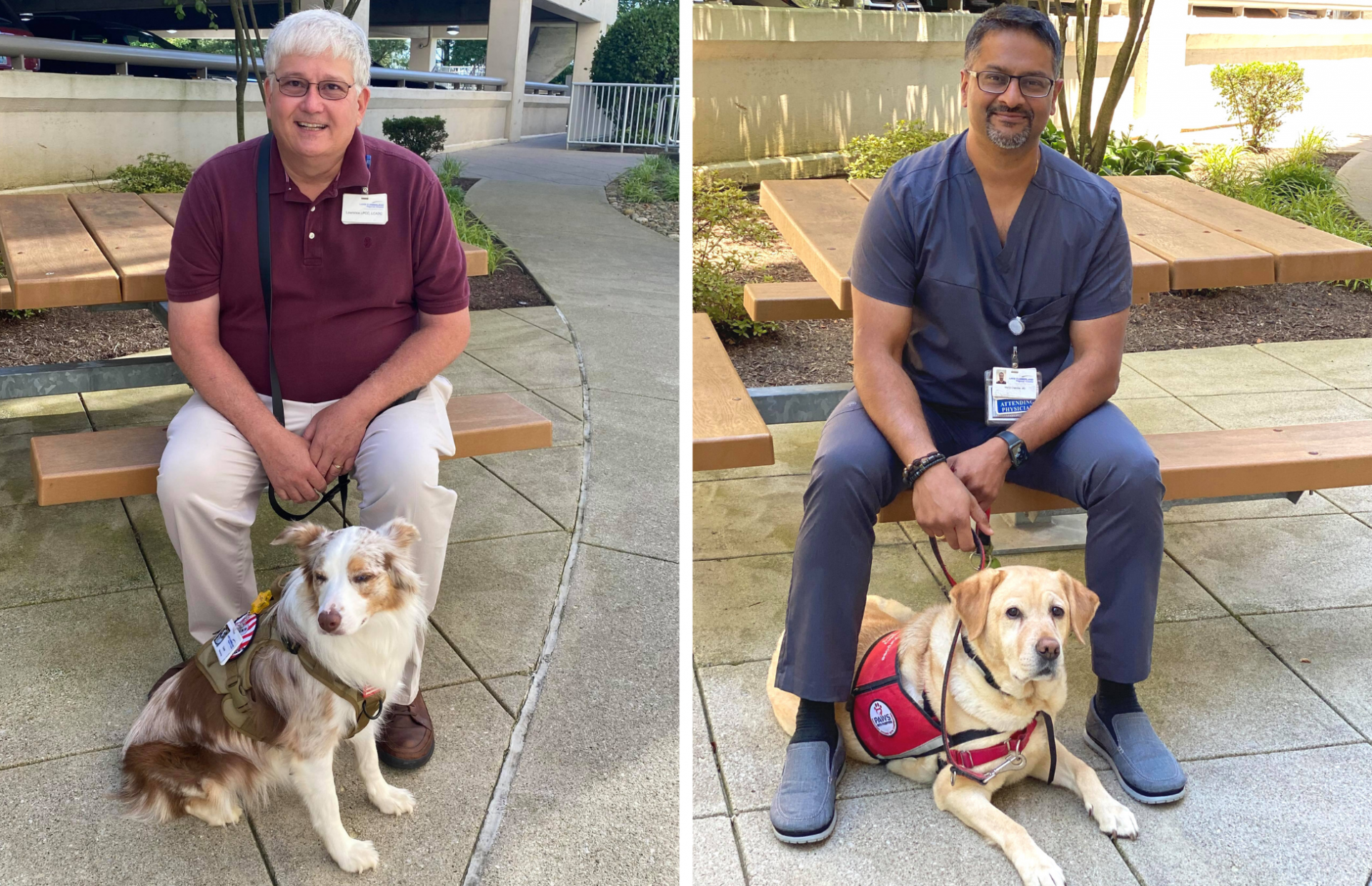 LCRH Therapy Dogs